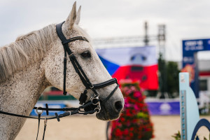 CSI Olomouc 2026